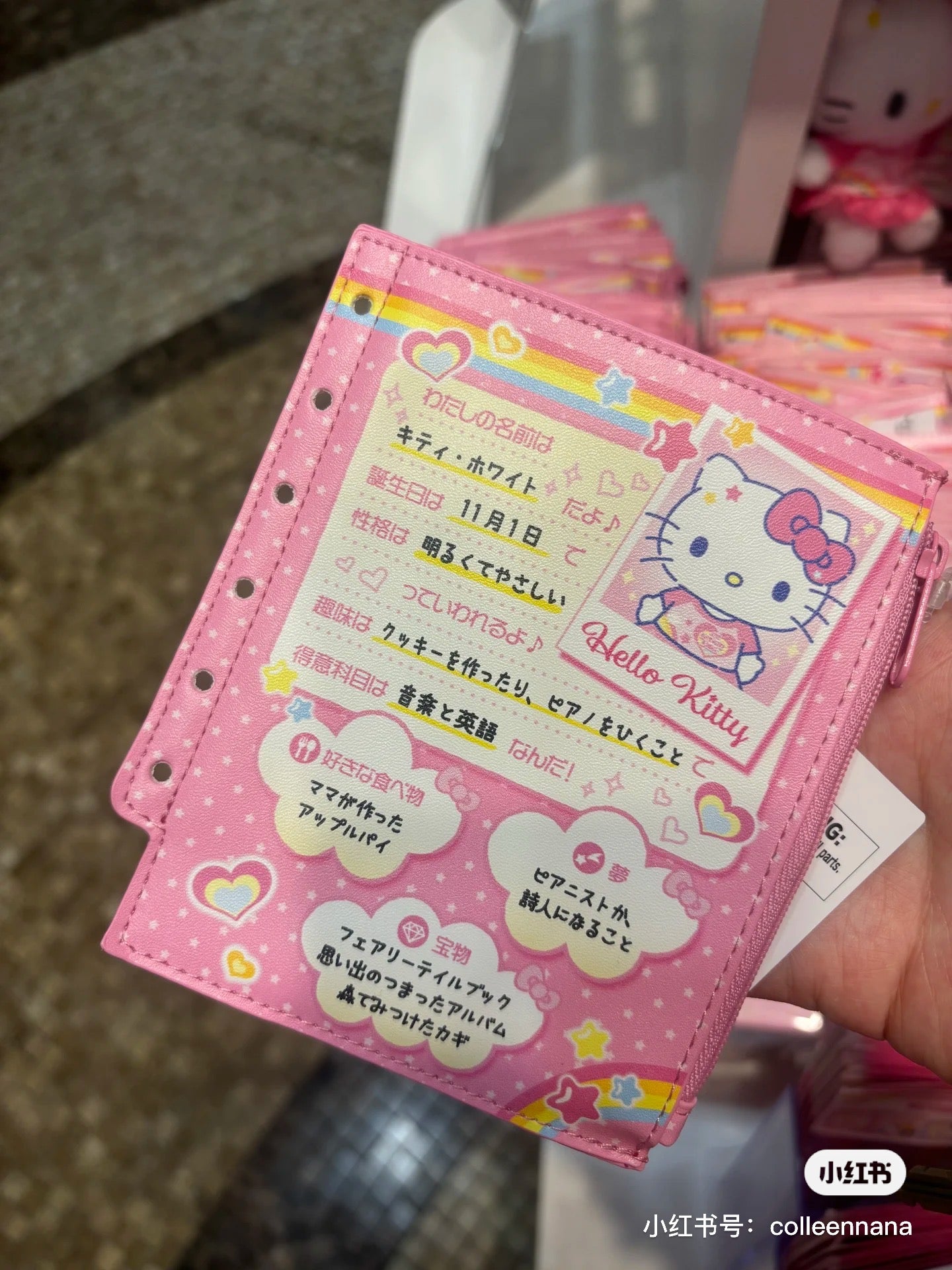 Sanrio三丽鸥｜Sanrio Original Mini Pouch / Nostalgic Profile Book自我介绍同学录迷你手账零钱包｜约12×0.8×14cm