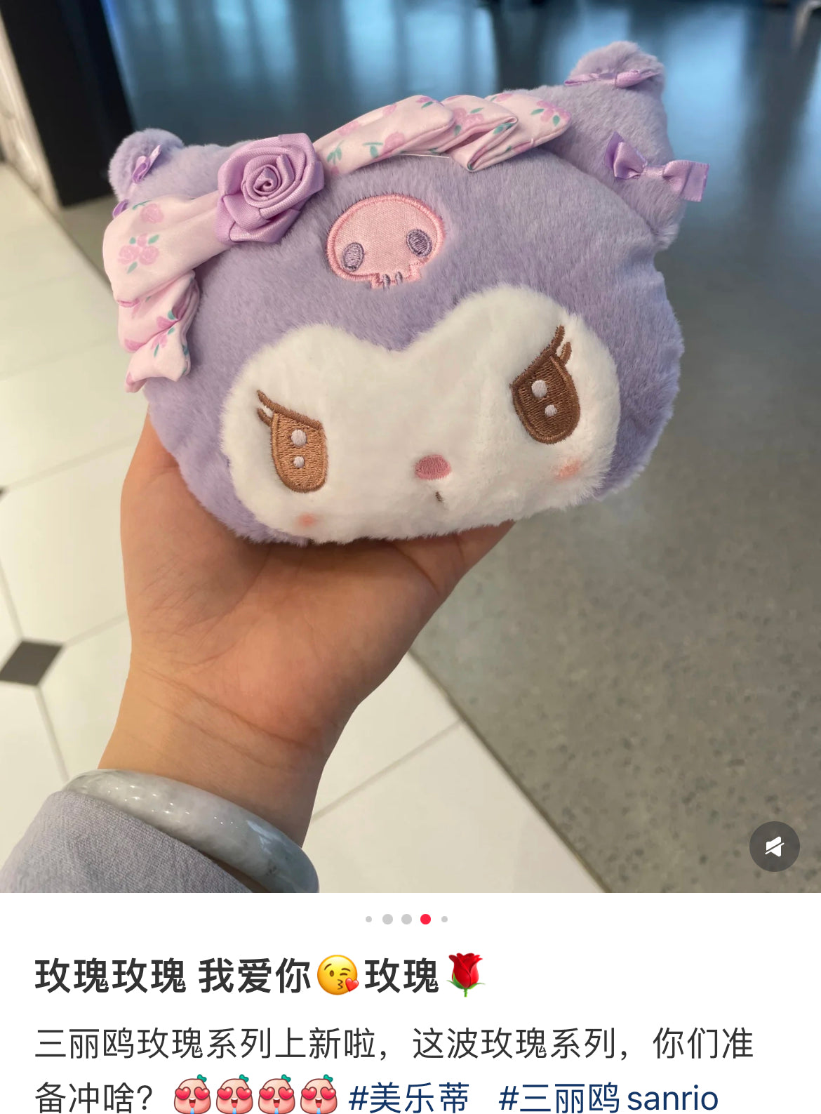 Sanrio三丽鸥｜Sanrio Original Face-shaped Pass Case/ Dolly Rose多莉玫瑰限量系列脸型毛绒零钱包挂件/卡包｜约16×6×12.6cm