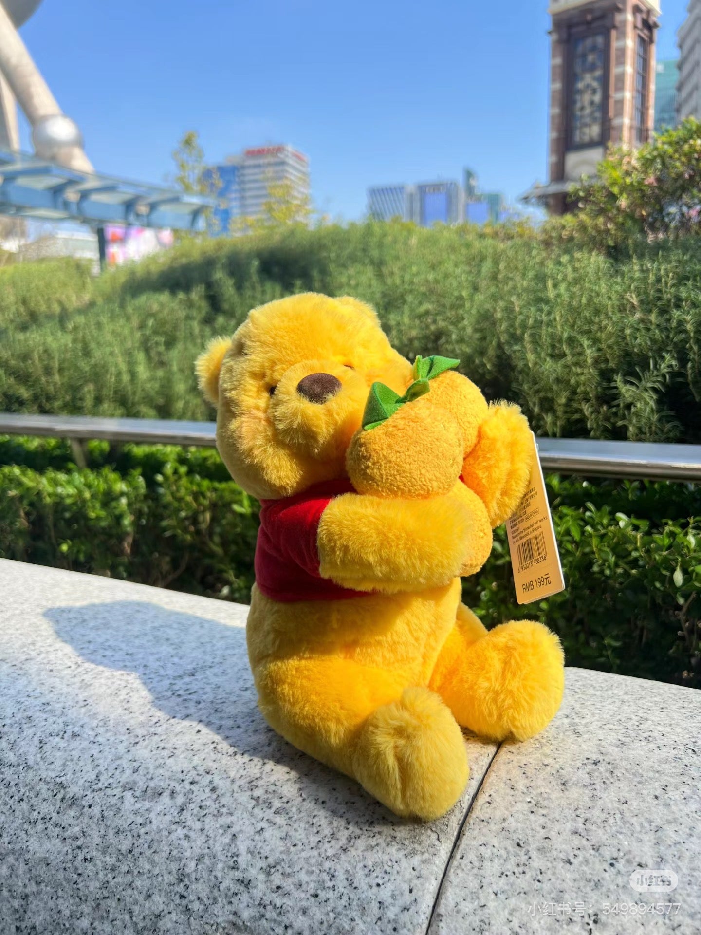 Disney迪士尼｜Winnie the Pooh stuffed toy (S) YUZU POOH柚子噗噗2023限定小熊维尼毛绒公仔｜s号｜约25*20cm