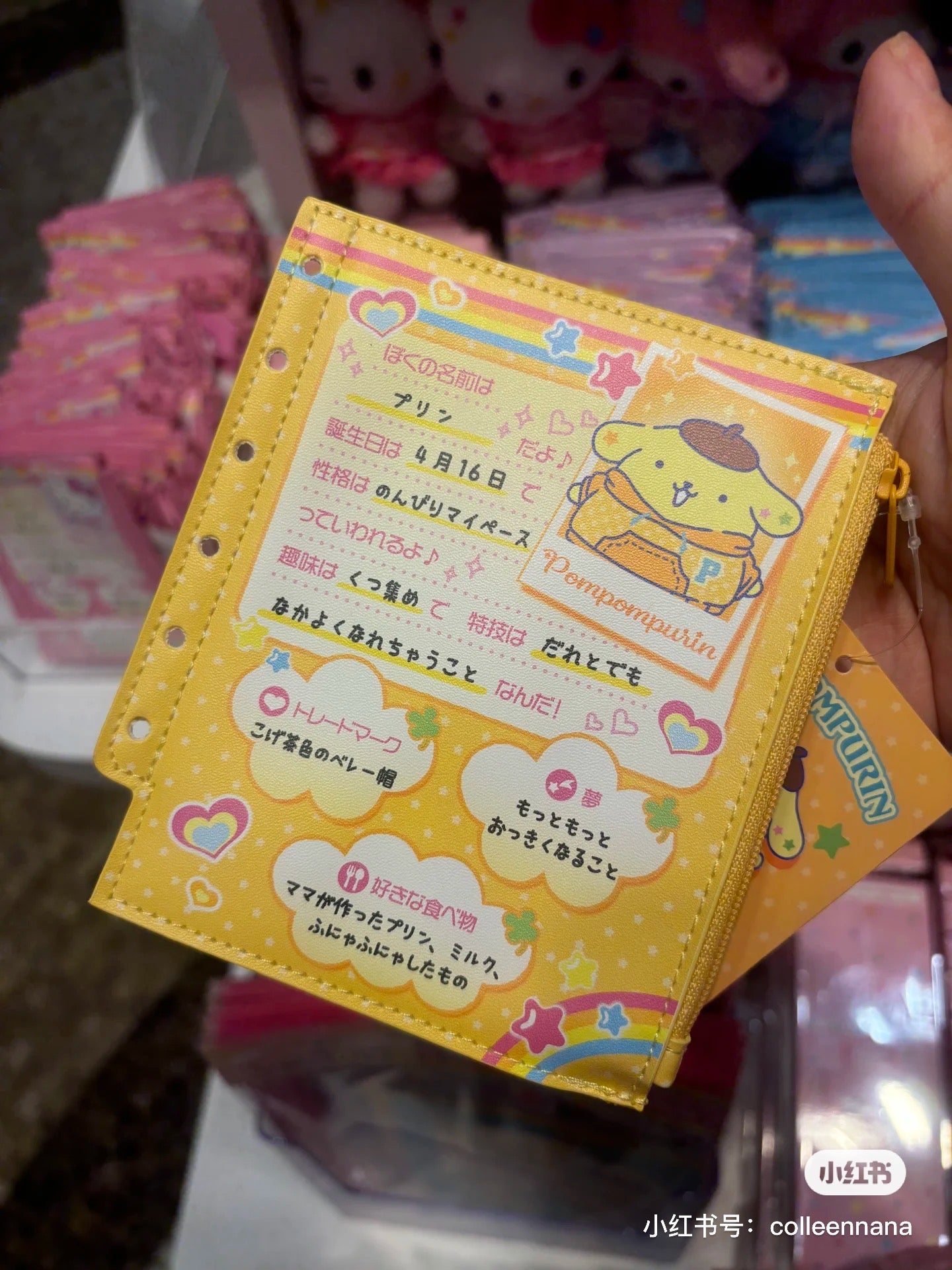 Sanrio三丽鸥｜Sanrio Original Mini Pouch / Nostalgic Profile Book自我介绍同学录迷你手账零钱包｜约12×0.8×14cm