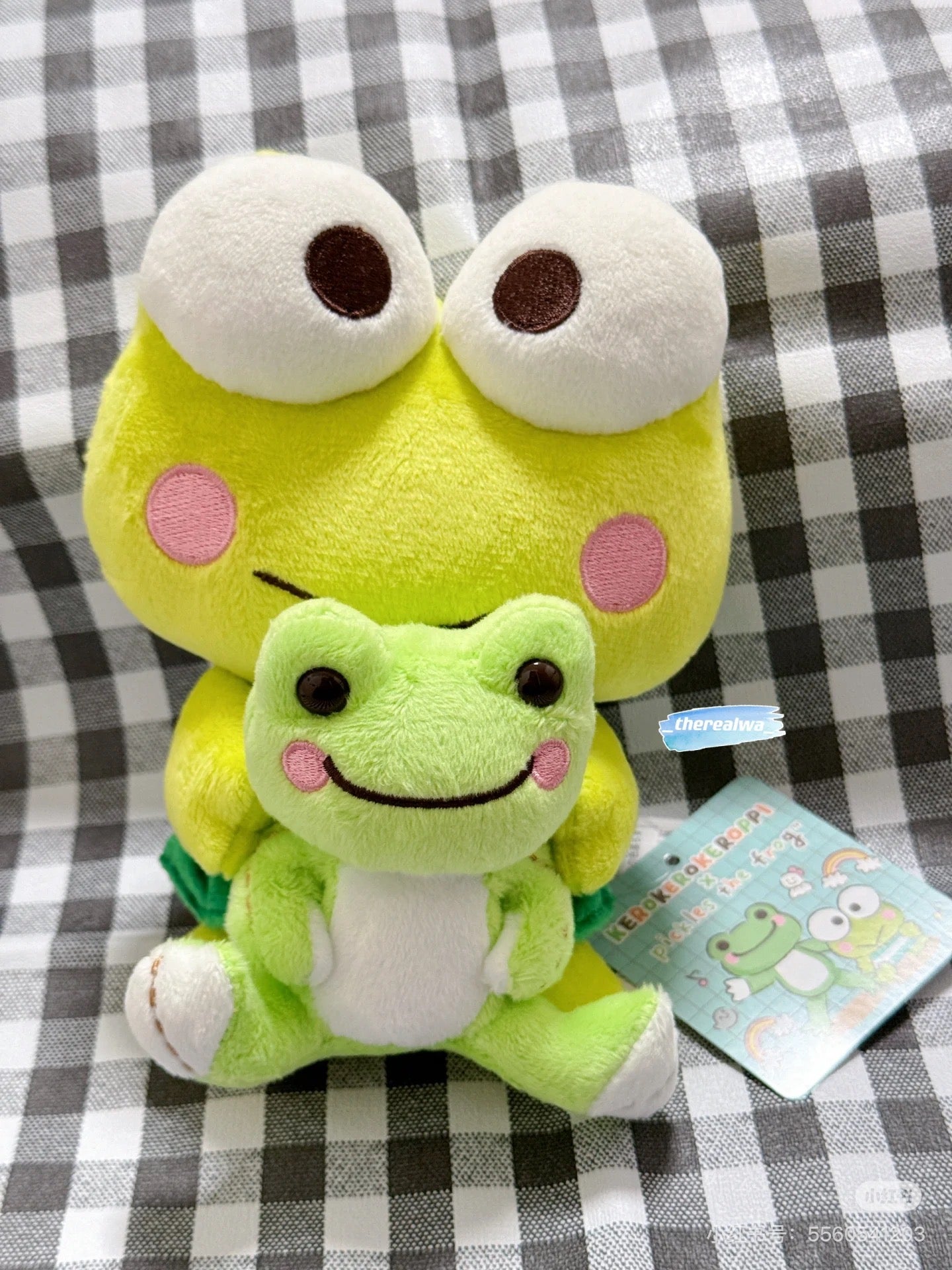 Sanrio｜Kerokero Keroppi 大眼蛙✖️泡菜蛙联名玩偶/挂件｜公仔约H15 x W11 x D13cm/挂件约10×4×9cm