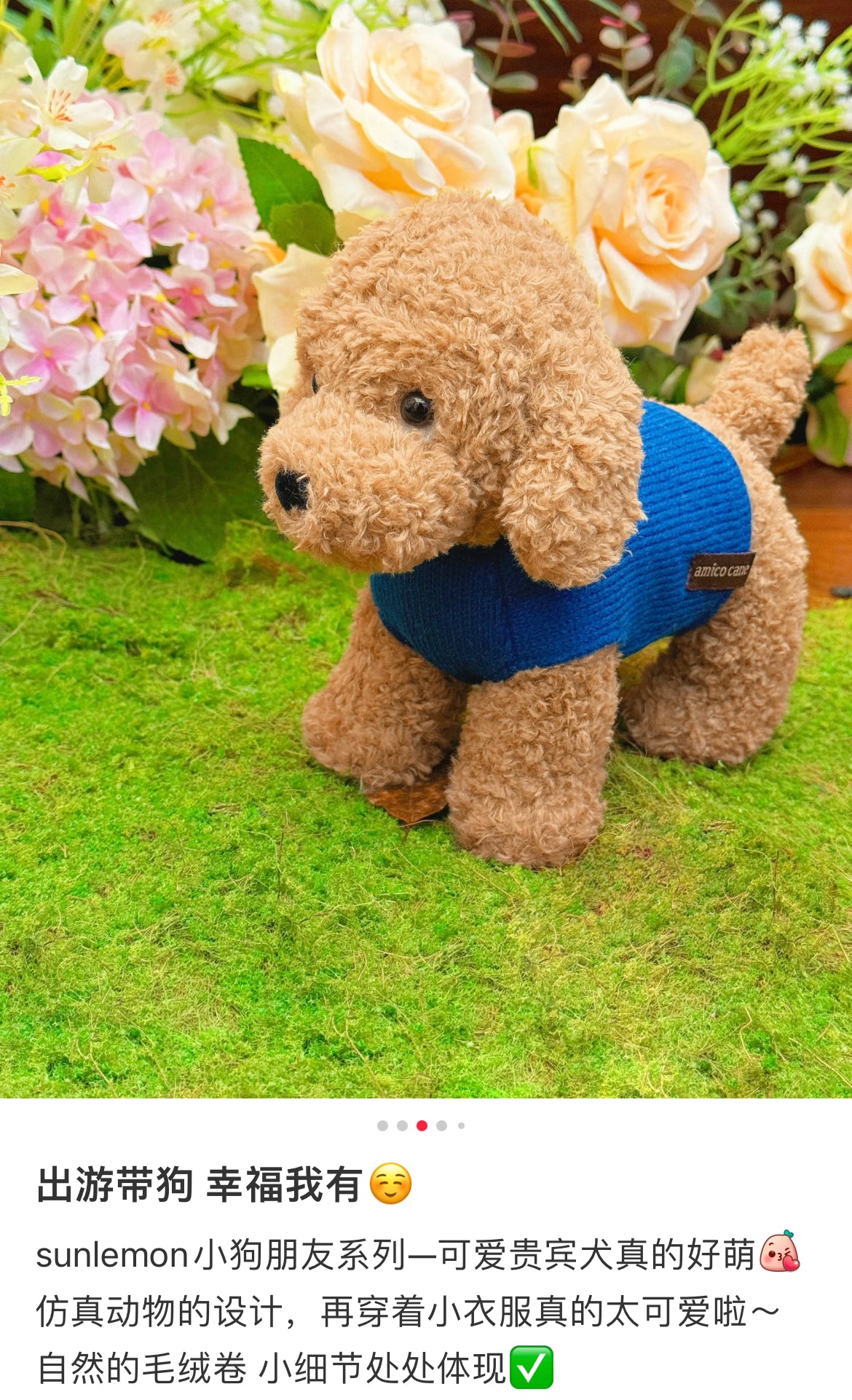 Sunlemon｜Plush Doll amico cane - Toy Poodle Beige (M) ｜H20×W14×D25cm approx.