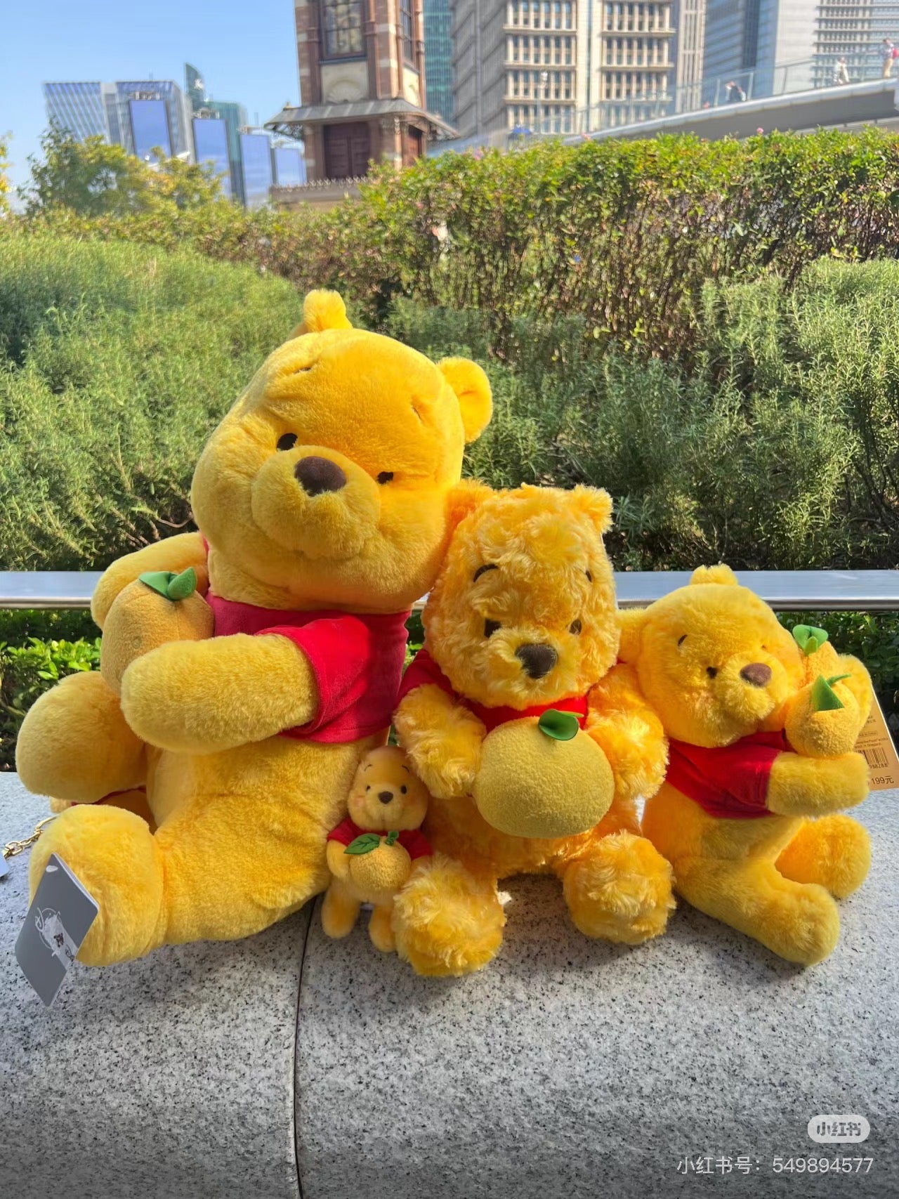 Disney迪士尼｜Winnie the Pooh stuffed toy (S) YUZU POOH柚子噗噗2023限定小熊维尼毛绒公仔｜s号｜约25*20cm