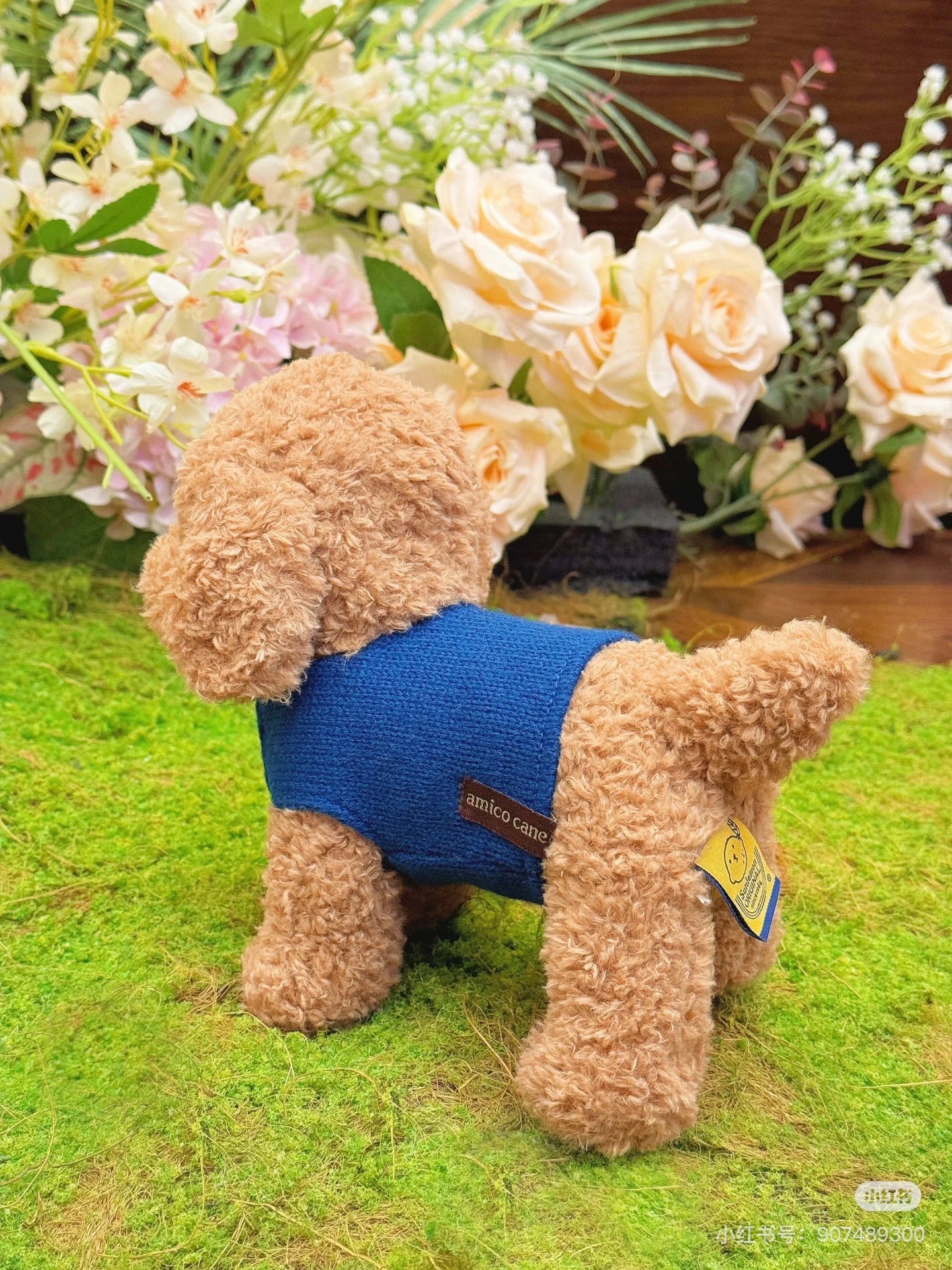 Sunlemon｜Plush Doll amico cane - Toy Poodle Beige (M) ｜H20×W14×D25cm approx.