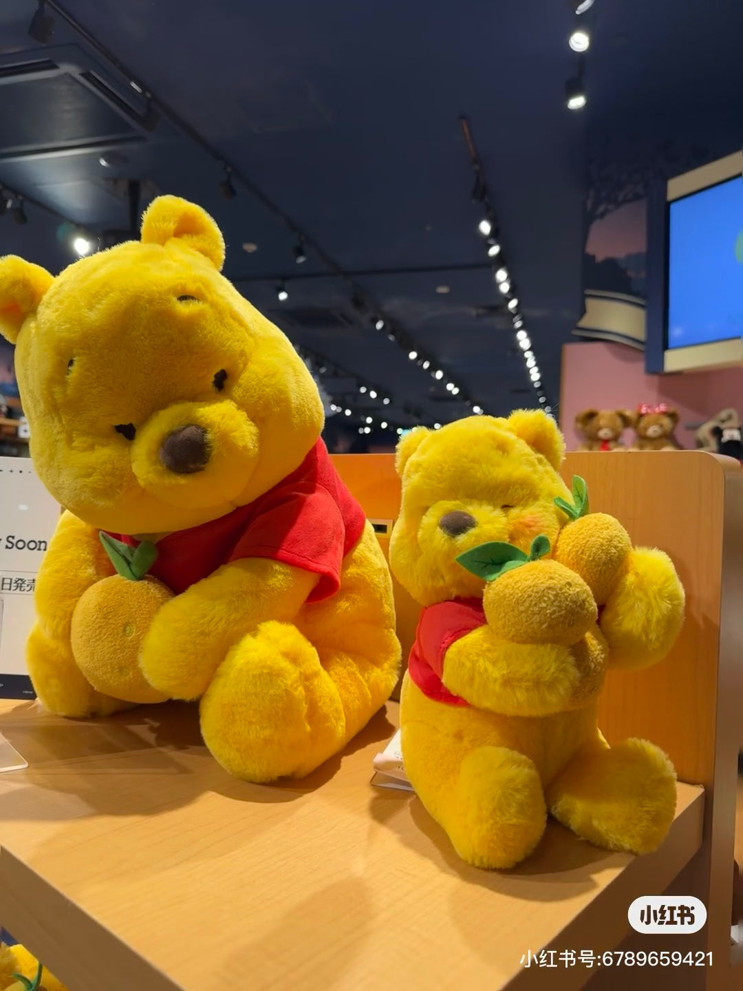 Disney迪士尼｜Winnie the Pooh stuffed toy (S) YUZU POOH柚子噗噗2023限定小熊维尼毛绒公仔｜s号｜约25*20cm