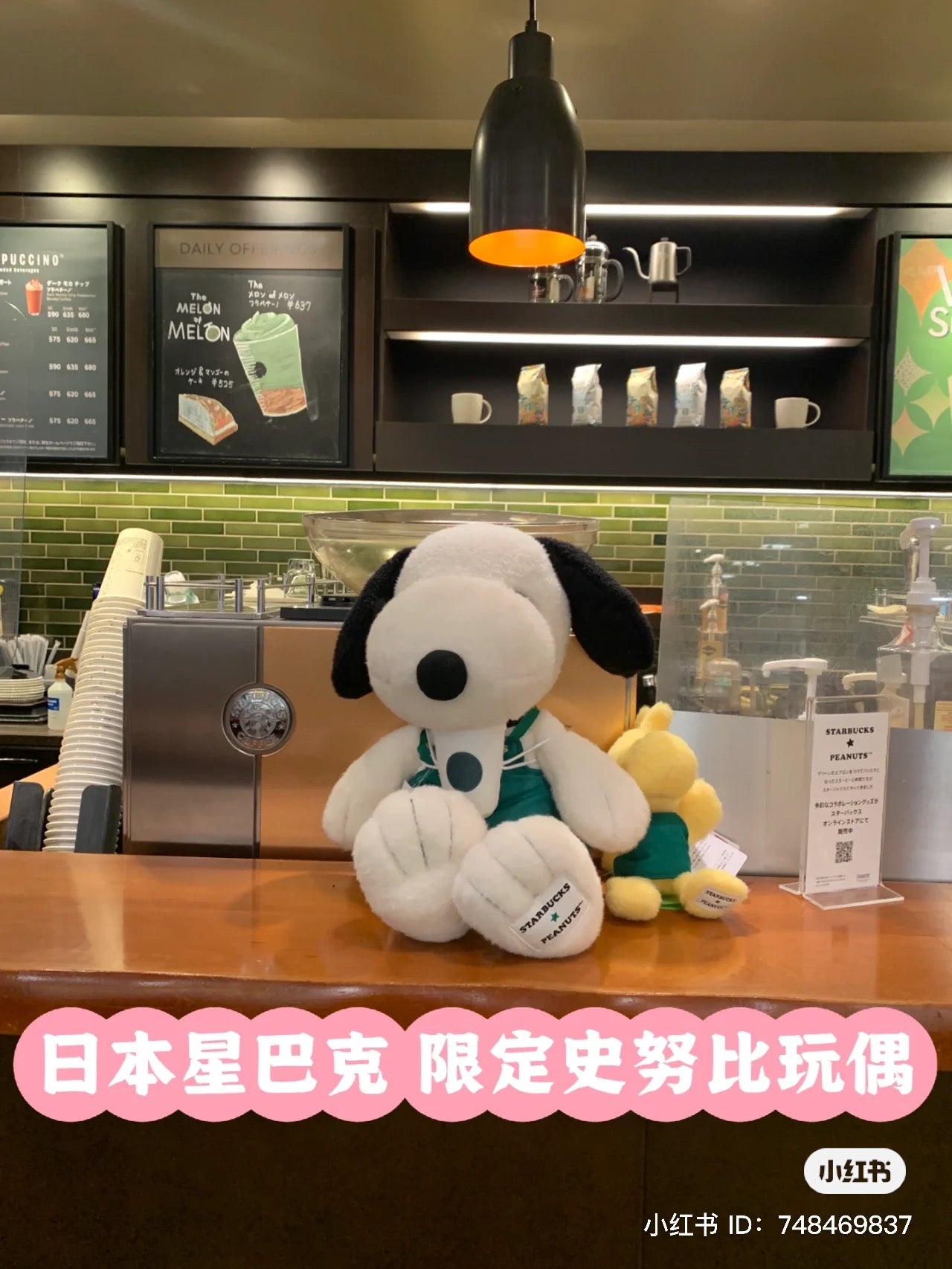 Snoopy｜Starbucks星巴克联名2023限定大只巨茸茸史努比公仔/云朵手感｜高さ約33cm×横幅約28cm×奥行約21cm