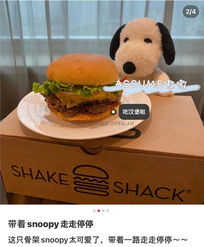 Snoopy19Cm